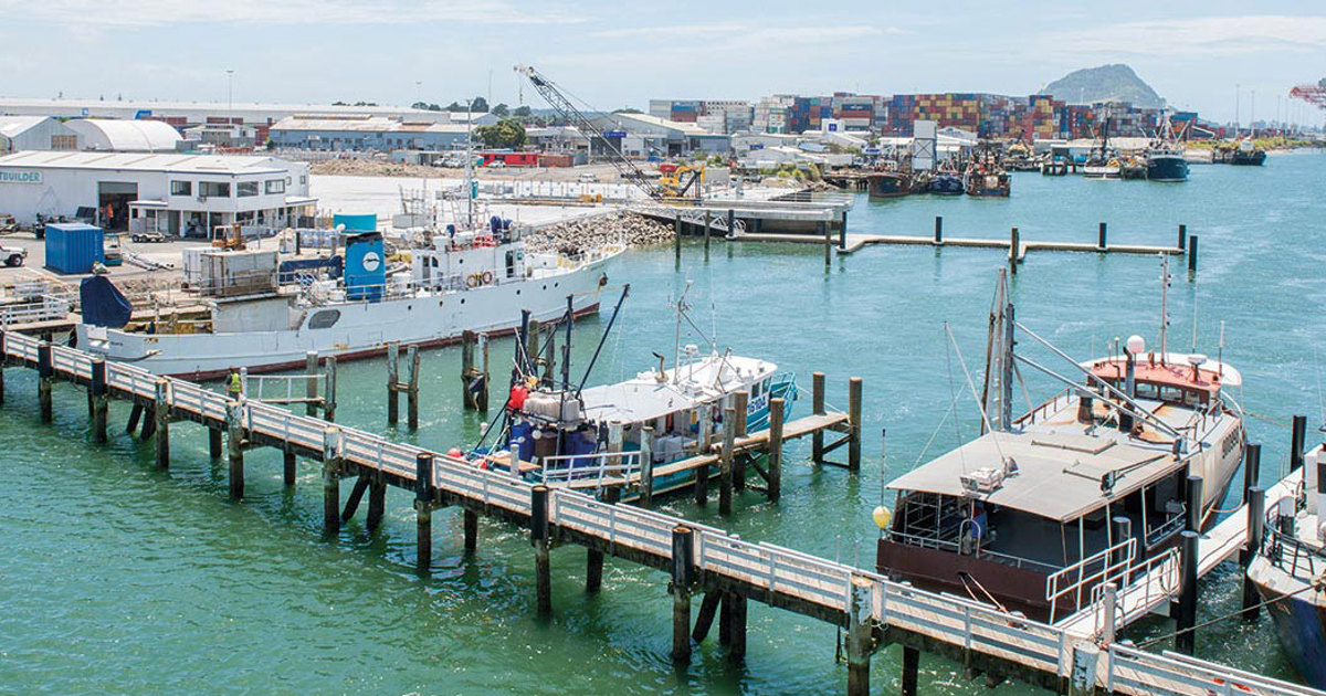 Tauranga Harbour