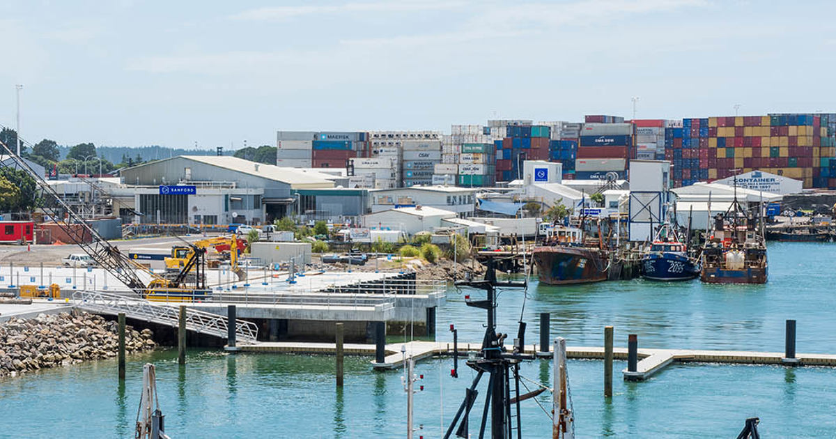 Tauranga Harbour