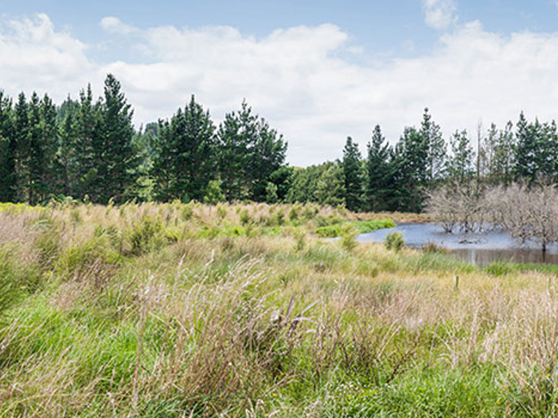 Land management in Katikati