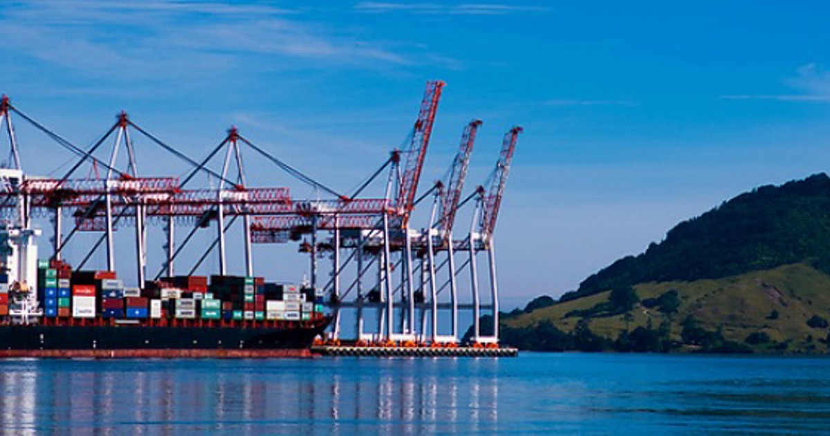 Tauranga Harbour